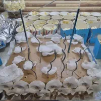 مها کیک با پخت تازه و باکیفیت وبا قیمت مناسب