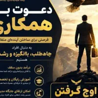 دعوت به همکاری