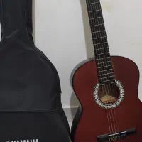 گیتار|گیتار، بیس، امپلیفایر|مشهد, کشف|دیوار