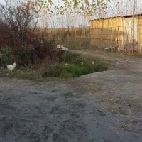 زمین ۲۱۱متر متری برای سرمایه‌گذاری نزدیک ساحل