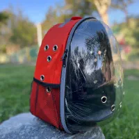 خاک  گربه و لانه حیوانات