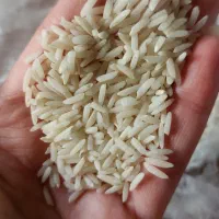 برنج هاشمی درجه یک|خوردنی و آشامیدنی|رودبنه, |دیوار