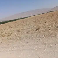 فروش زمین|فروش دفتر صنعتی، کشاورزی، تجاری|فسا, |دیوار