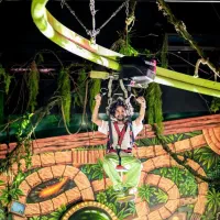 رزو تفریحات گردشگری(اقتصادی)|تور و چارتر|کیش, |دیوار