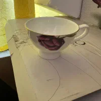 سرویس خارجی کامل ۱۸نفره|ظروف سرو و پذیرایی|قائمشهر, |دیوار