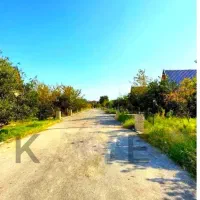 زمین-بخربساز-پشت-جنگلی-نور