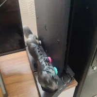 ps4|کنسول، بازی ویدئویی و آنلاین|شیراز, سرو|دیوار