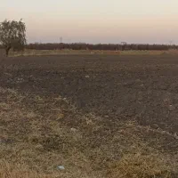 زمین آبی|اجارهٔ دفتر صنعتی، کشاورزی، تجاری|نقده, |دیوار