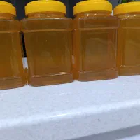 عسل|خوردنی و آشامیدنی|میبد, |دیوار