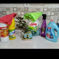 نظافت منزل انجام میدیم