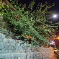 کافه بند امیر شاه با تمامی متعلقات با درآمدی خوب