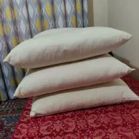 بالش|رختخواب، بالش، پتو|نوشهر, |دیوار