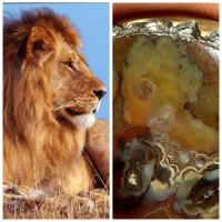 انگشتر مصور نگین سلطانی کمیاب