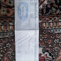 مدارک گم شده به نام علی ملکی فر