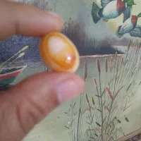 سنگ سلیمانی سه پوسته