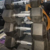 دمبل و هالتر