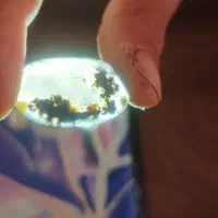 نگین شجر|جواهرات|خمینیشهر, |دیوار