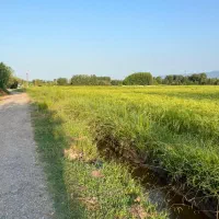خونه شالیزار۲۱۰۰۰مترکوچصفهان، خشکبیجار،لاهیجا،رشت|فروش خانه و ویلا|خمام, |دیوار