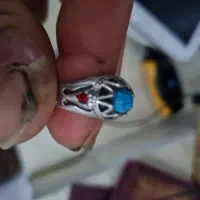 سهره نر|پرنده|پاکدشت, حصار امیر|دیوار