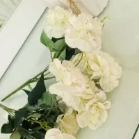 گلدان همراه ۵شاخه گل