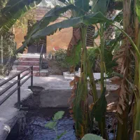 استخدام خانم جهت مراقبت و همراهی آز خانم سالمند