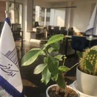 فروش-4واحدی-a2