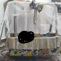 گهواره سالم