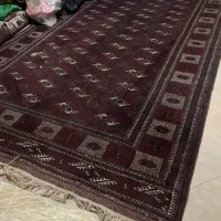 فرش های دستبافت قدیمی|فرش|گنبد کاووس, |دیوار