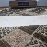 قالی  طرح شگی