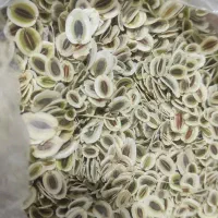 محصولات خانگی سرکه،آبغوره ،نعناع،بنه کوهی، رب انار|خوردنی و آشامیدنی|مشهد, رستگار|دیوار