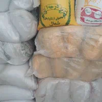 برنج ایرانی طارم قیمت مناسب.سرلاشه وکامل|حراج|بیرجند, |دیوار