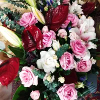 سبد گل|گل و گیاه طبیعی|تهران, شهرآرا|دیوار