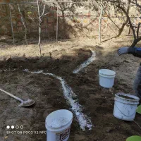 ارایه خدمات نوین دانش بنیان کشاورزی|خدمات باغبانی و درختکاری|باسمنج, |دیوار