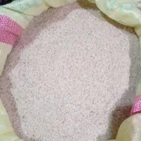 برنج راتون ورزاکی کشت دوم کاملا ارگانیک|خوردنی و آشامیدنی|املش, |دیوار