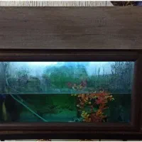فروش آکواریوم