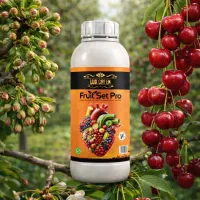 فروتست آلمانی