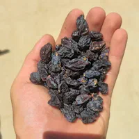 مویز کشمش بش خلار(شیرازی)|خوردنی و آشامیدنی|شیراز, قصرالدشت|دیوار