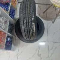 لاستیک سمند گل جدید