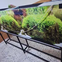 اکواریوم