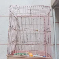 فروش قفس پرنده دست دوم
