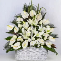 تشریفات مهستان(مجری کلیه مراسم ترحیم،تولد،همایش و)