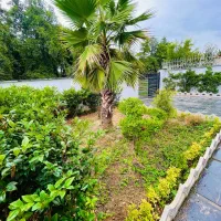 دوبلکس ۲۵۰ متری دو قدمی جنگل استخرداخلی|فروش خانه و ویلا|فریدون‌کنار, |دیوار