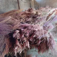 جارو|لوازم نظافت|خرمآباد, |دیوار