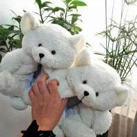 پاپوش پولیشی و خرسی|کیف، کفش، کمربند|ارومیه, |دیوار