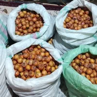 ازگیل پیوندی|خوردنی و آشامیدنی|احمدسرگوراب, |دیوار