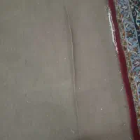 موکت|موکت|مشهد, شهید معقول|دیوار