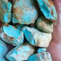 مشتری راف فیروزه