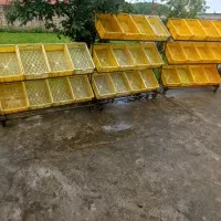 ۳ عدد استند میوه و فروشگاهی