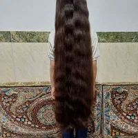 قژاسینم به بانترین قیمت|خدمات آرایشگری و زیبایی|دهگلان, |دیوار