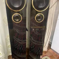دوعدد باندو دوقلو خانگی